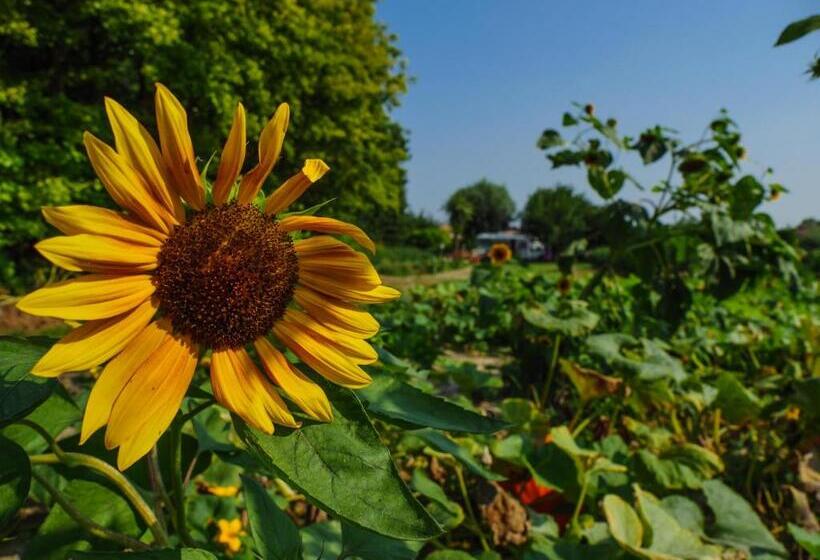 Hotel Agriturismo Ca' Marcello