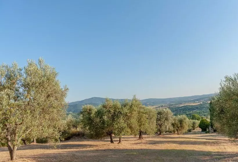 Hotelli Agriturismo Poggio Del Pero