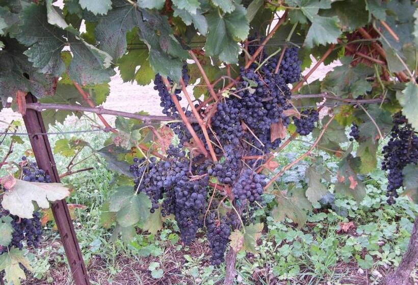 ホテル Cortecoraman