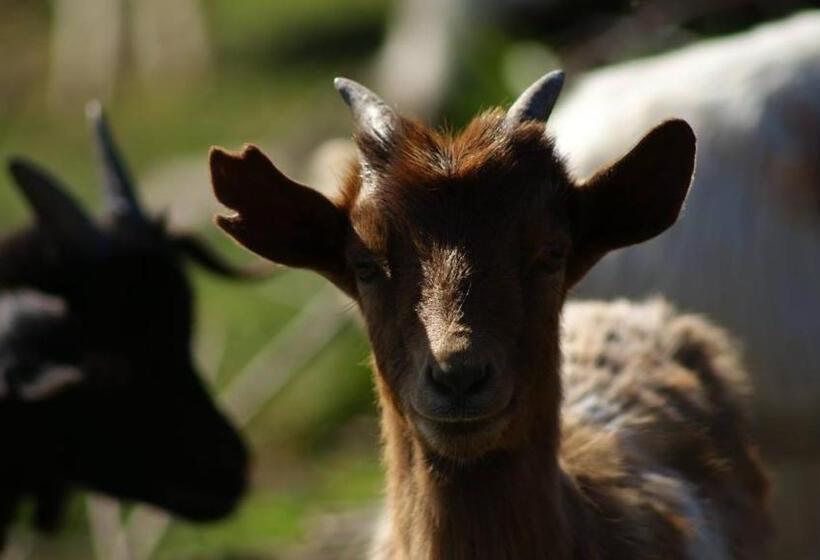 فندق L'oasi Del Cervo