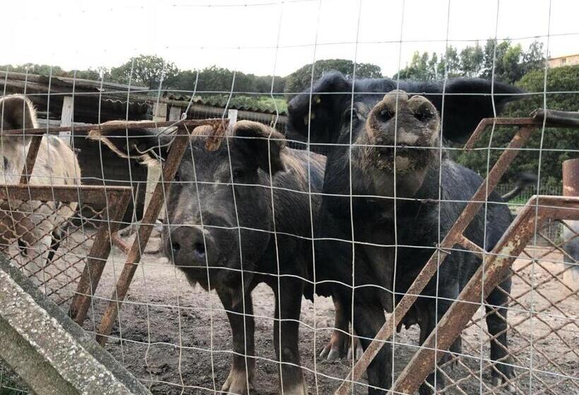 فندق L'oasi Del Cervo