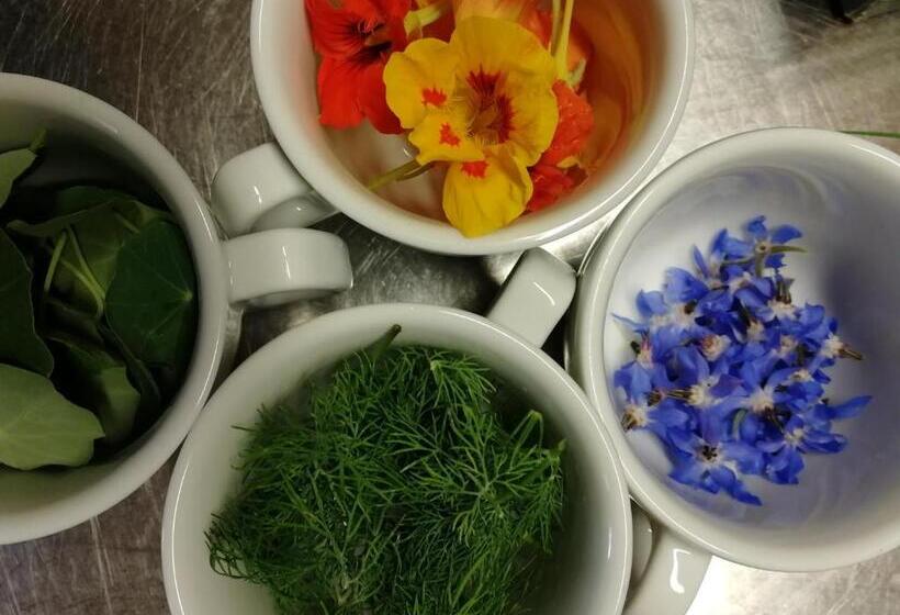 בית מלון כפרי Villa Montecastello