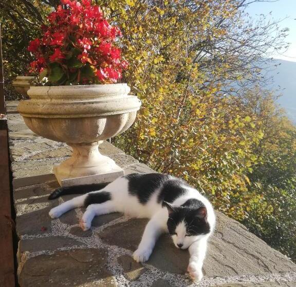 צימר Le Ginestre Guesthouse Assisi