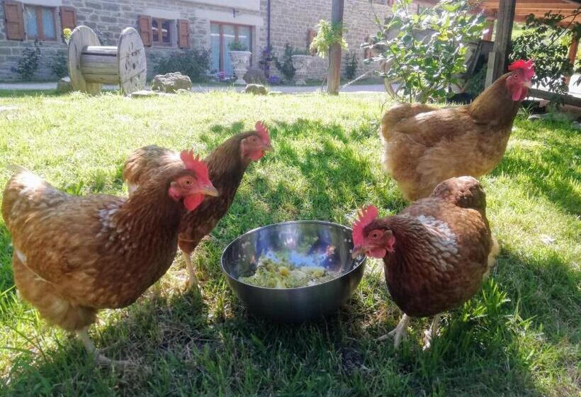 צימר Le Ginestre Guesthouse Assisi