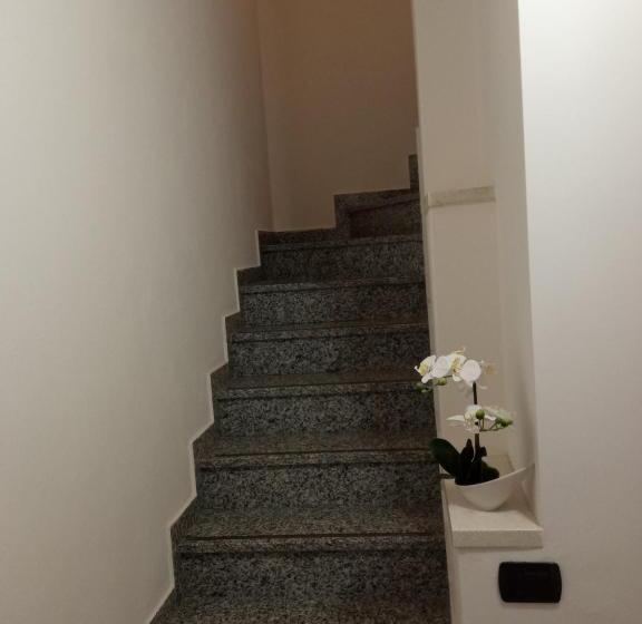 بنسيون Camera 40