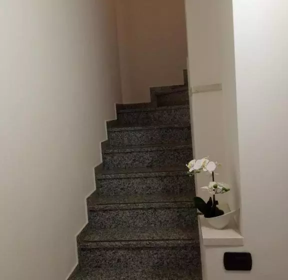 ペンション Camera 40