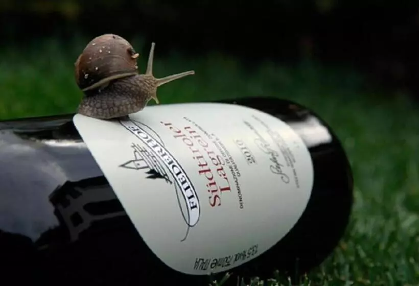 ペンション Gasthaus Babsi