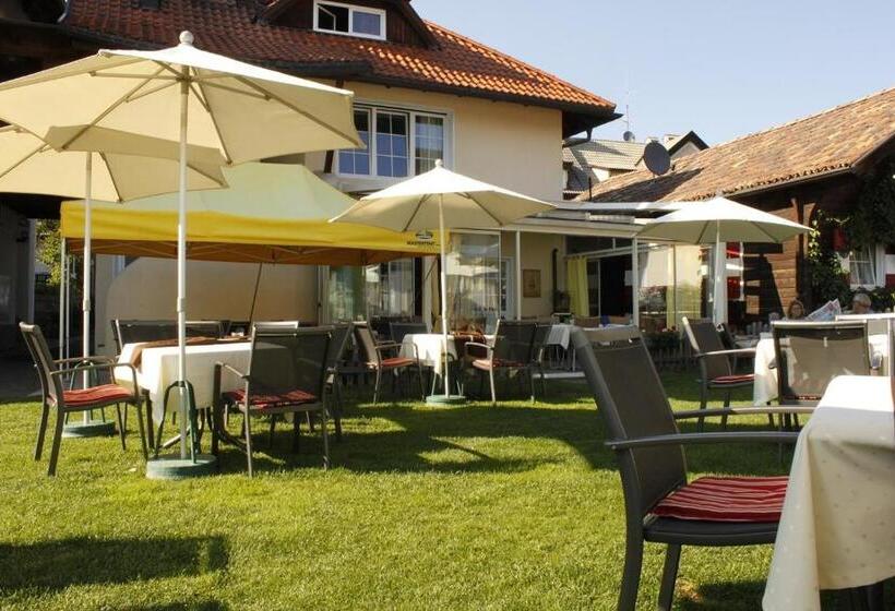 Пансион Gasthaus Babsi