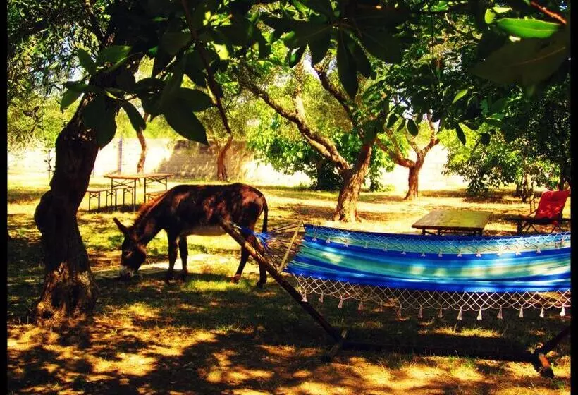 ホテル Agriturismo Antares