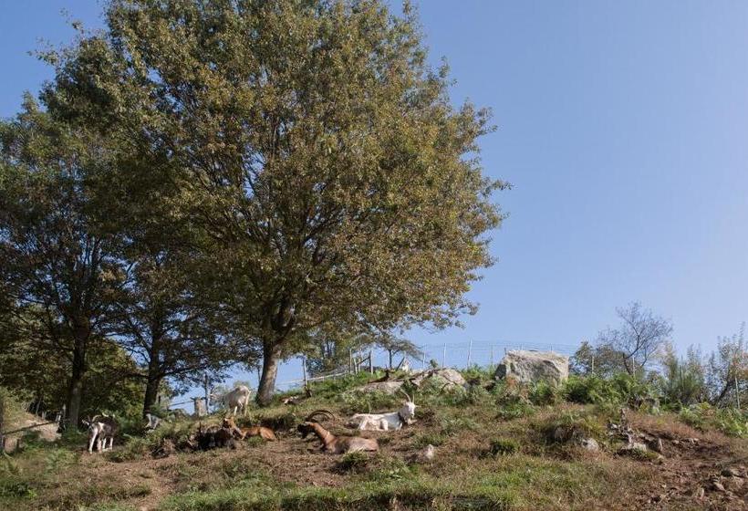 هتل Agriturismo Da Attilio