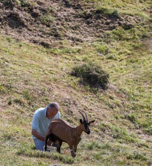 هتل Agriturismo Da Attilio