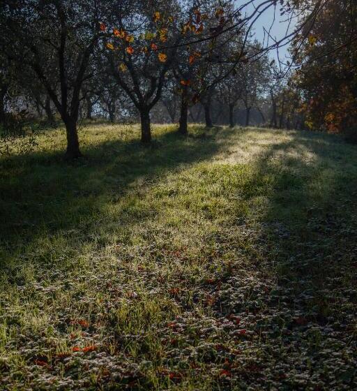فندق Locanda Agricola Posapiano