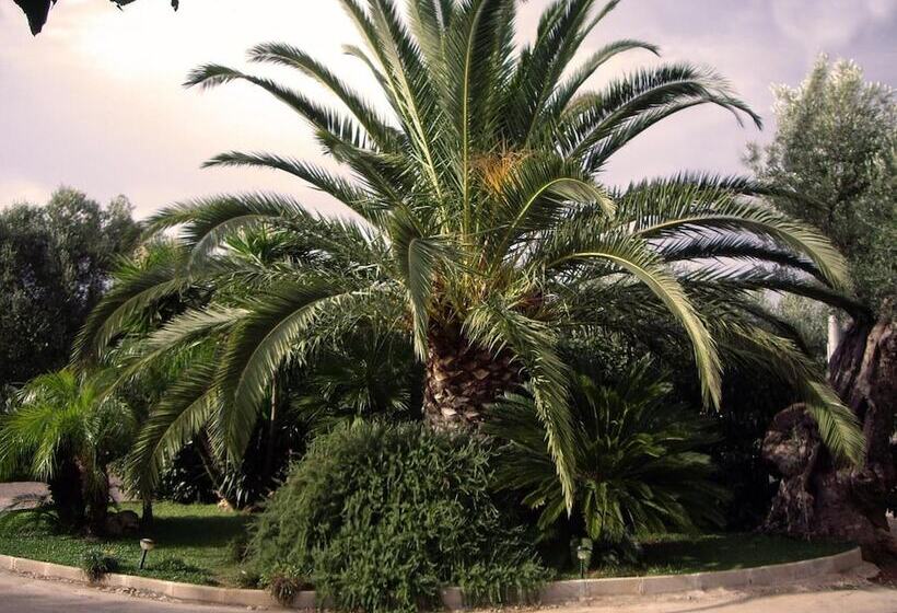 פנסיון Il Gallo