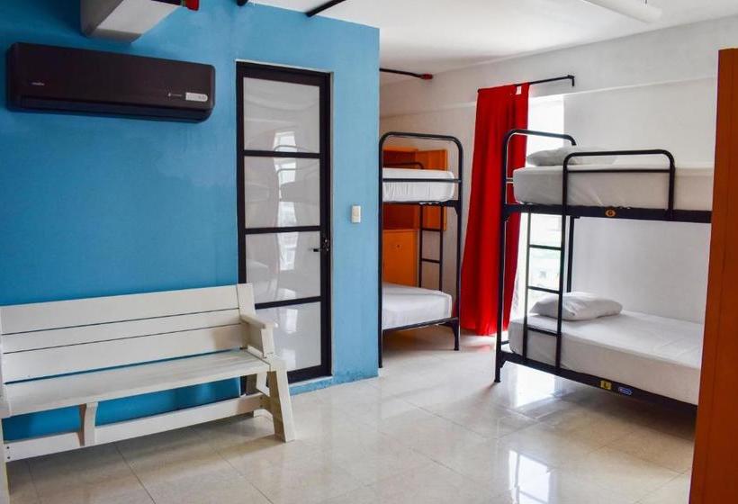 Szálloda Tucan Hostel