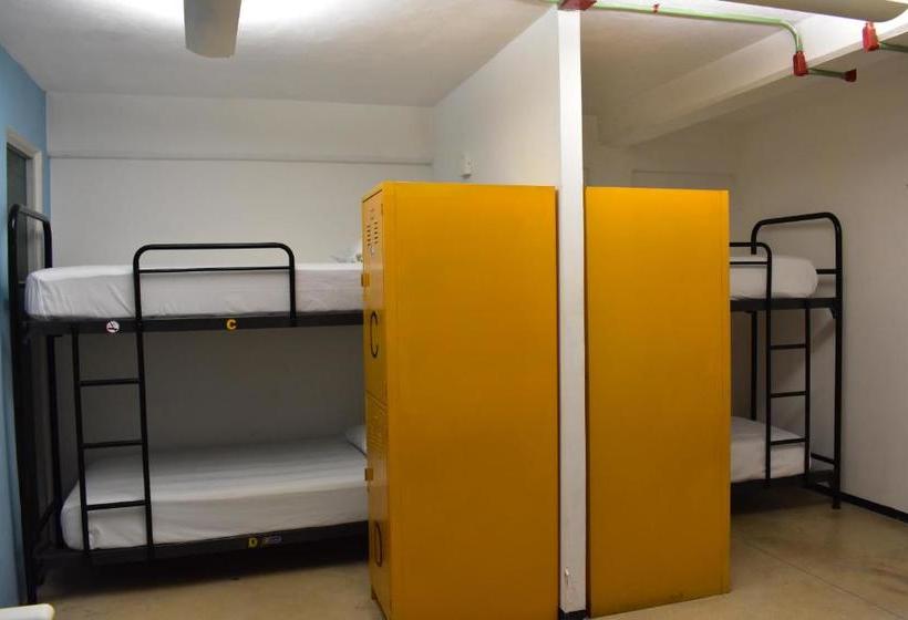 Szálloda Tucan Hostel