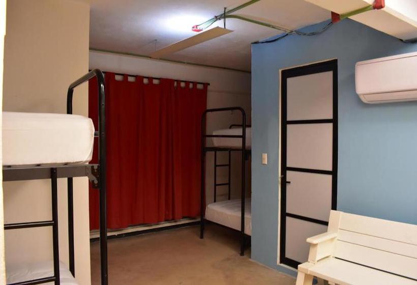 Szálloda Tucan Hostel