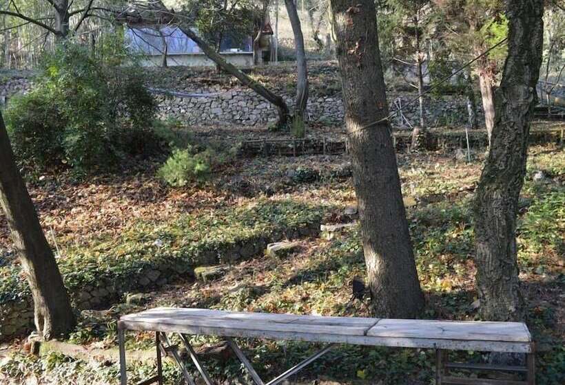 펜션 Casa Marta : Suites Terrasses Et Vue Panoramique