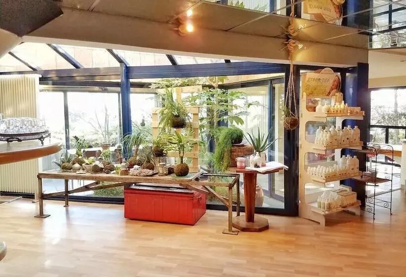 Majatalo Casa Marta : Suites  Terrasses Et Vue Panoramique