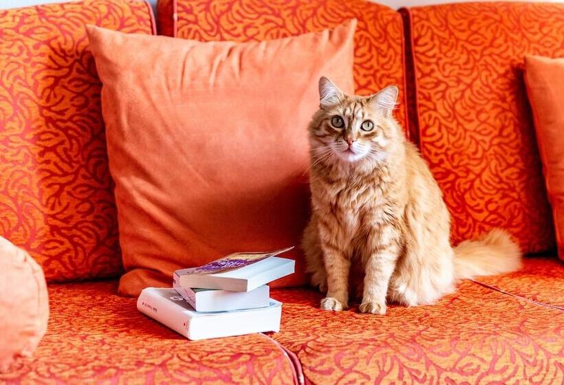 Pensão Maison D Hotes Payan Champier