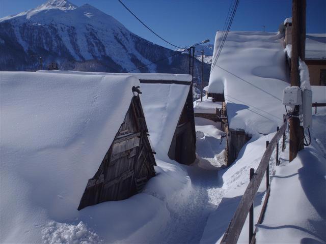 פנסיון Gite Du Bois De L'ours
