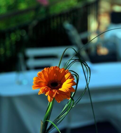 펜션 Le Moulin De Saint Laurent