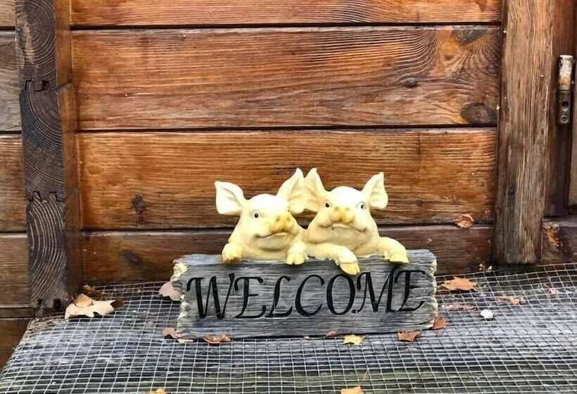 Bed and Breakfast West View Lodge