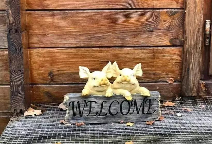 Aamiaismajoitus (B&B) West View Lodge