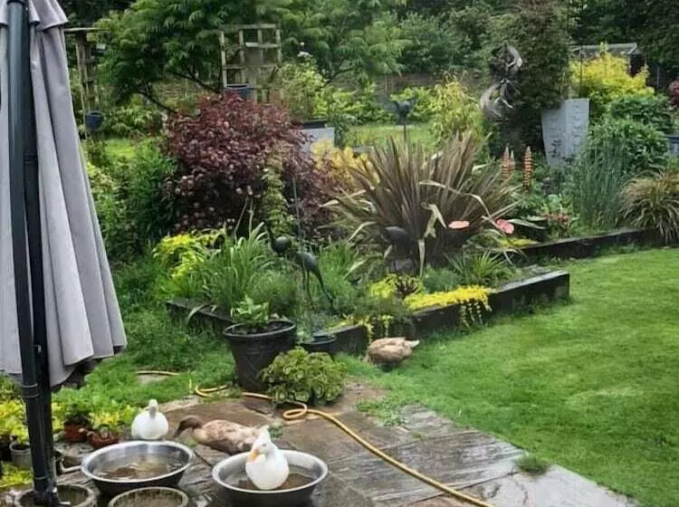 Aamiaismajoitus (B&B) West View Lodge