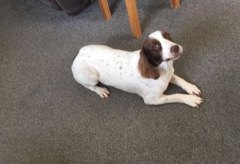 Bed and Breakfast West View Lodge