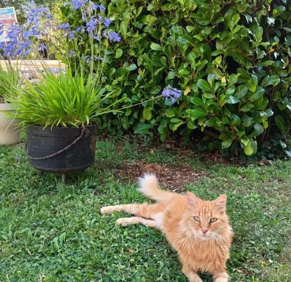 ペンション Domaine De Cadenne