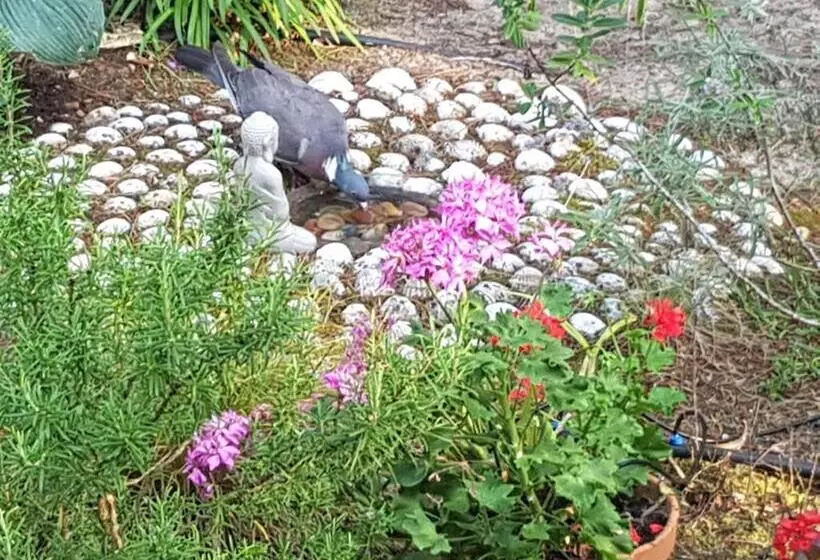 Majatalo Villa Akwaba