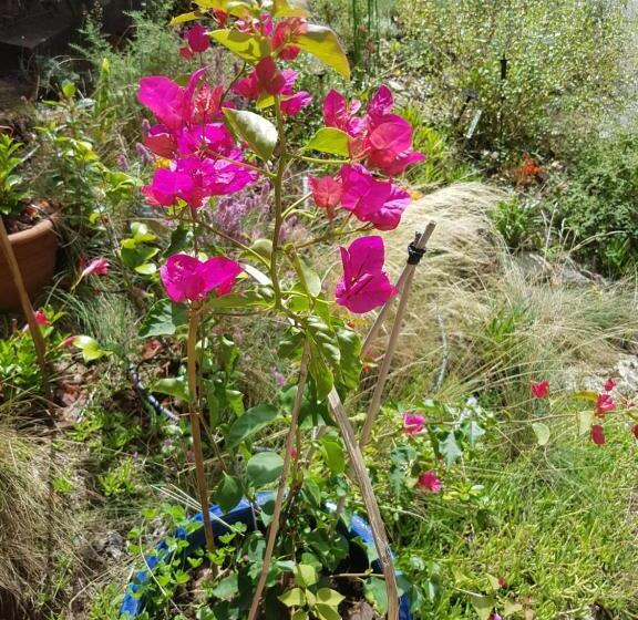 膳宿费 Villa Akwaba