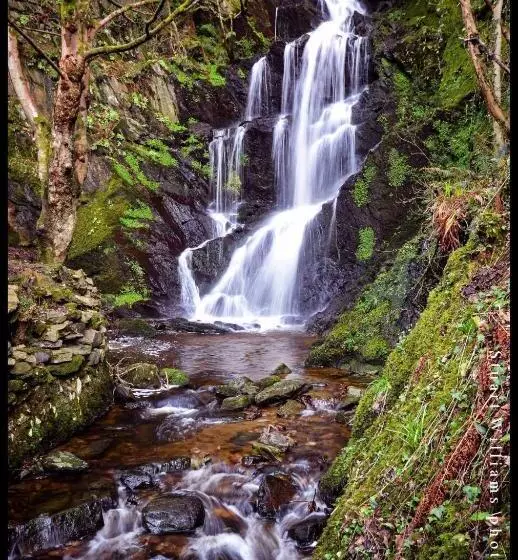 Majatalo The Island & Fairfield