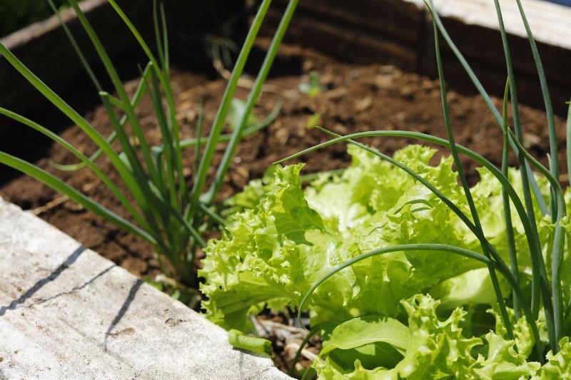 Hostel Pousada Sette Mares