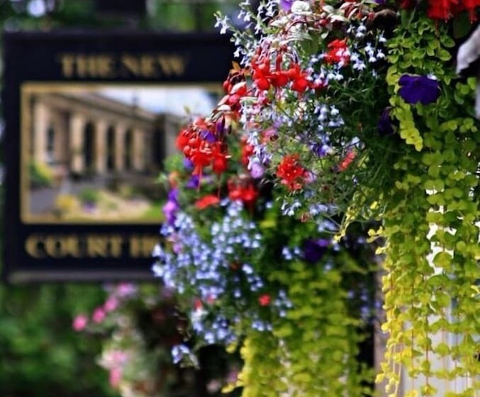 فندق صغير The New Court Inn