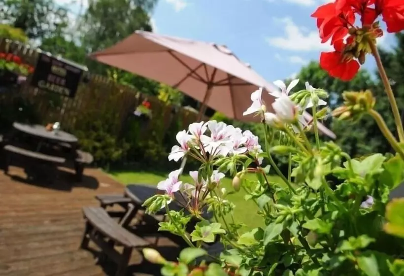 Retkeilymaja The New Court Inn