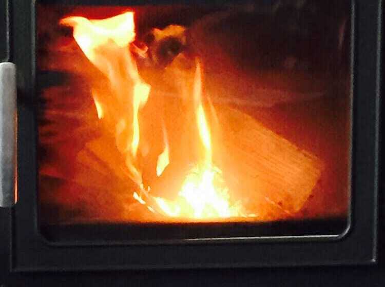 فندق صغير The New Court Inn