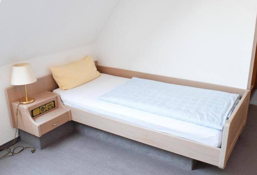 Отель Dominikaner