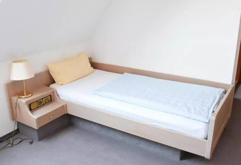 ホテル Dominikaner