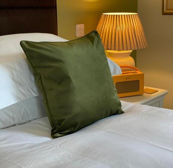 펜션 Caemorgan Mansion