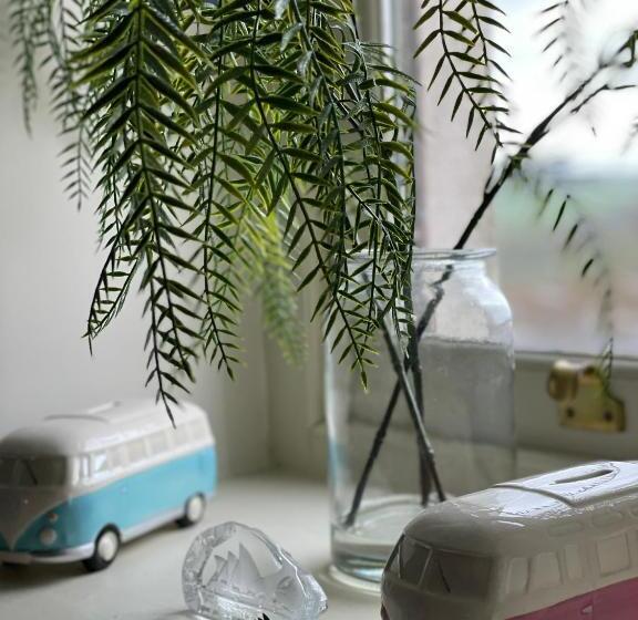 펜션 Caemorgan Mansion