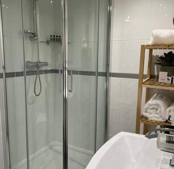 펜션 Caemorgan Mansion