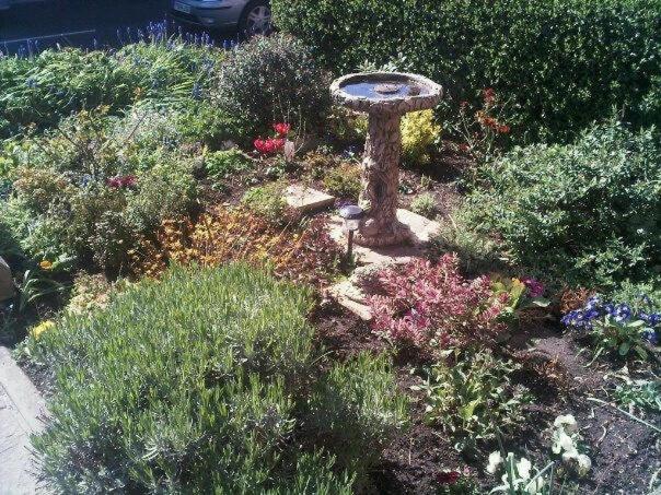 פנסיון Prospect House