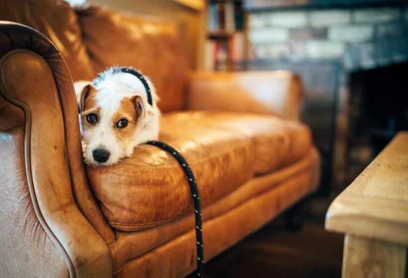 膳宿费 The East End Arms