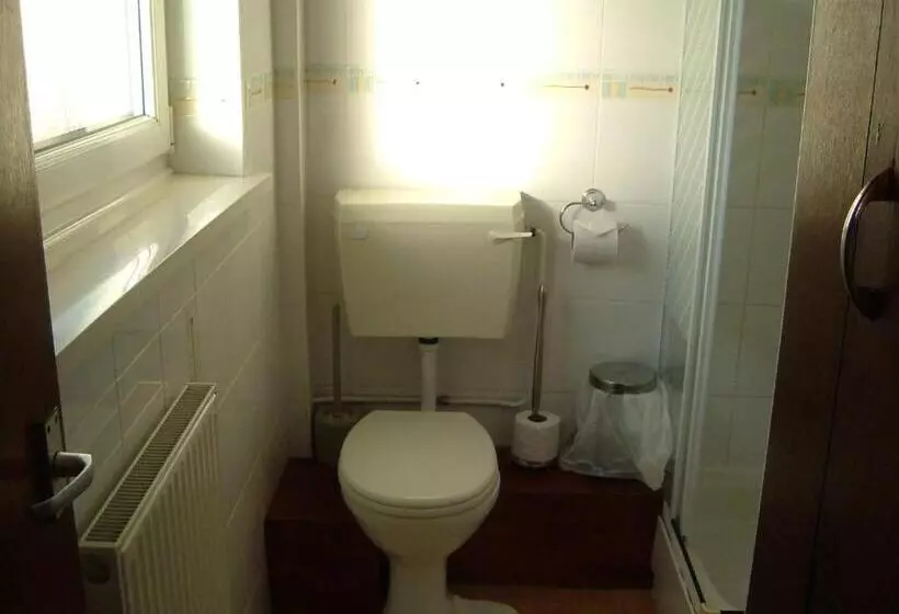 پانسیون Tremains Guest House