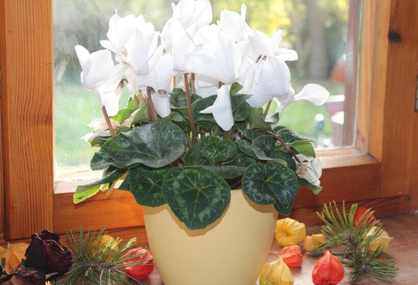 Hotel Fetznhof Zuhaus