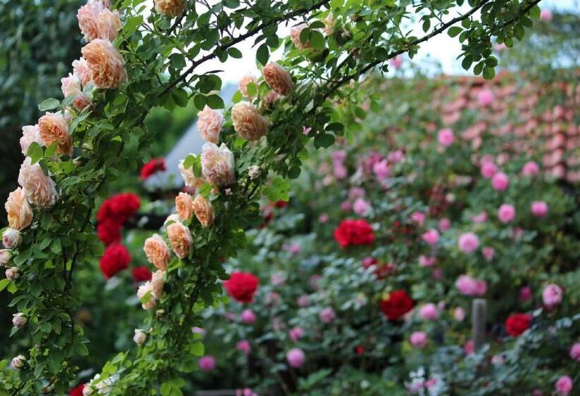 Hotel Fetznhof Zuhaus