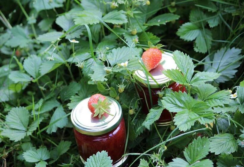 Hotel Fetznhof Zuhaus