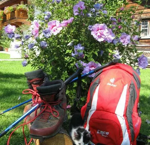هتل Ferienwohnungen Wanderparadies Bauernhof