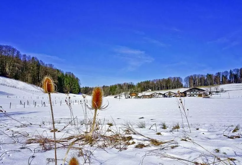 هتل Ferienwohnungen Wanderparadies Bauernhof